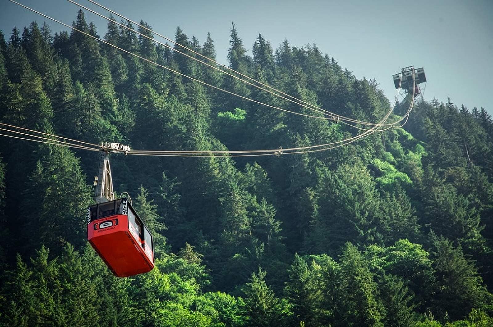 One of Alaska’s Most Famous Shore Excursions Suddenly Went Quiet