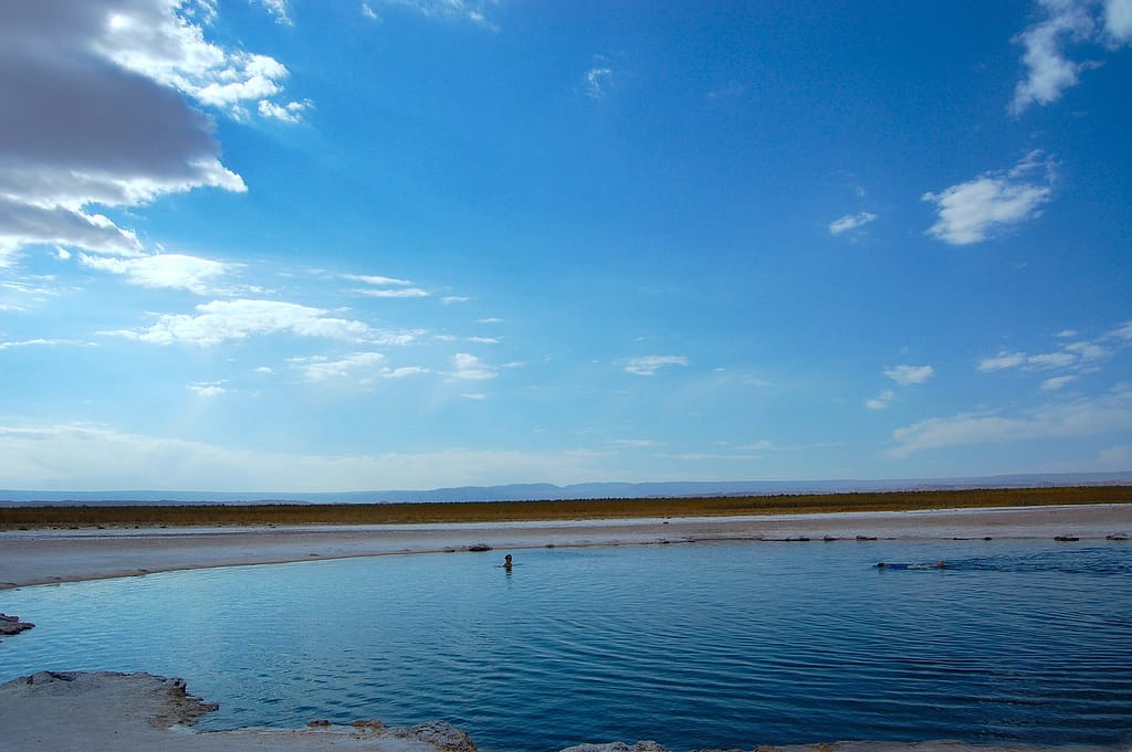 Person swimming in Laguna Cejar near San Pedro de Atacama