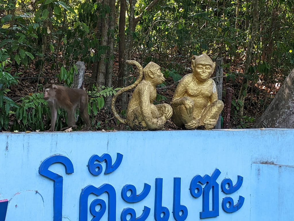 Sign at Monkey Hill in Thailand