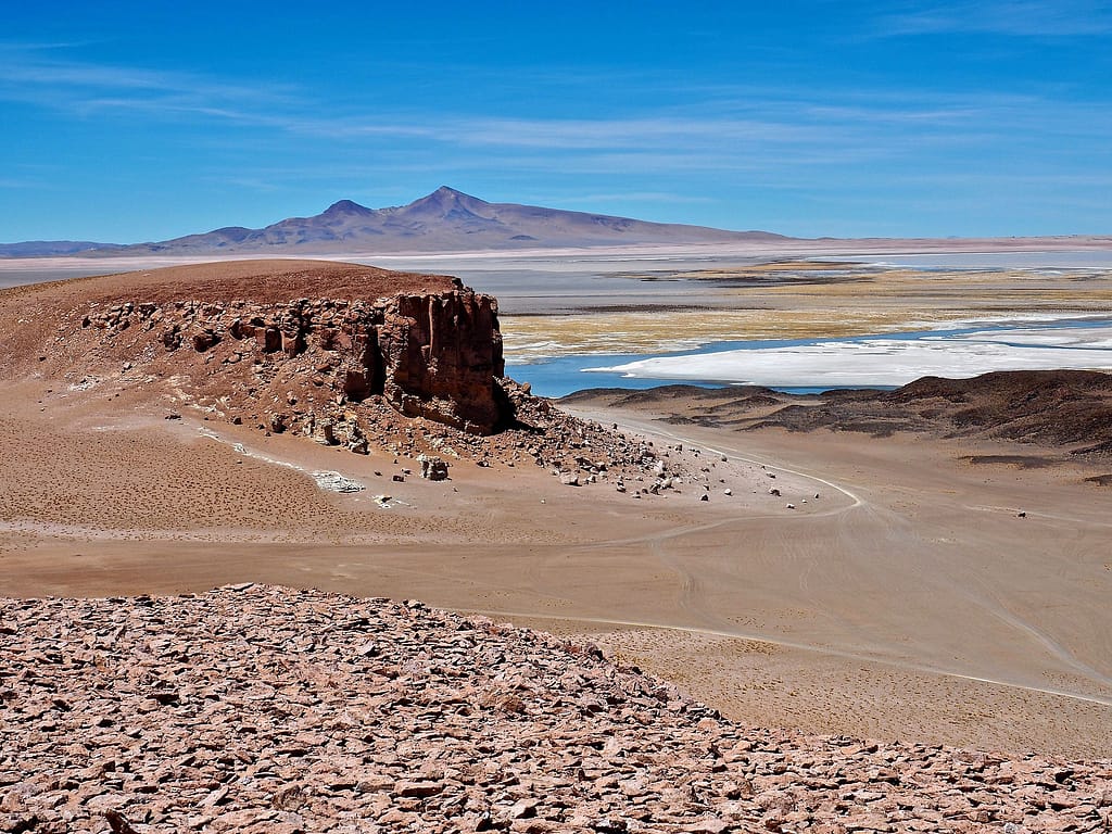 Unique rock formation next to a large laguna on the Salar de Tara