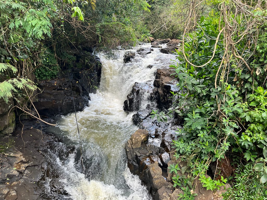 Looking upstream of Salto Lanusse waterfall