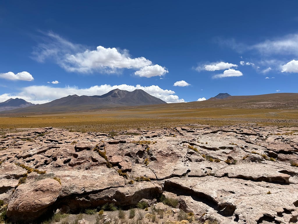 Atacama Desert