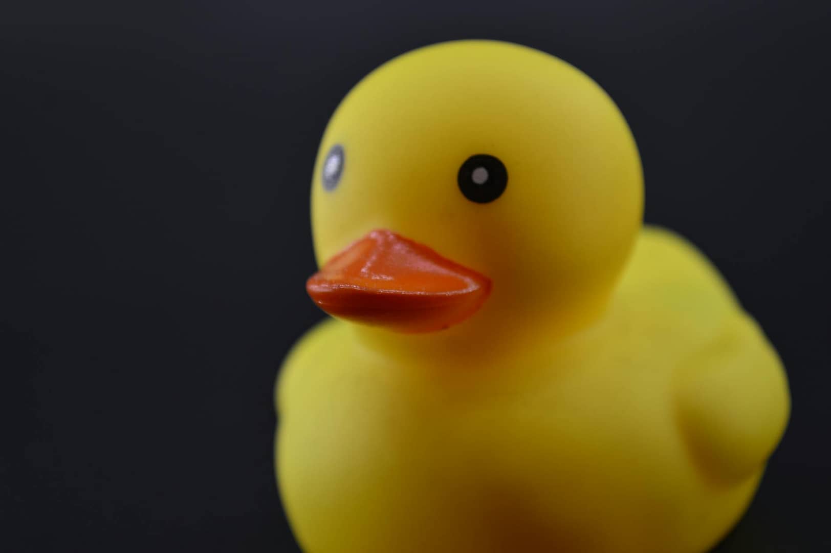 close up photo of a yellow rubber duck