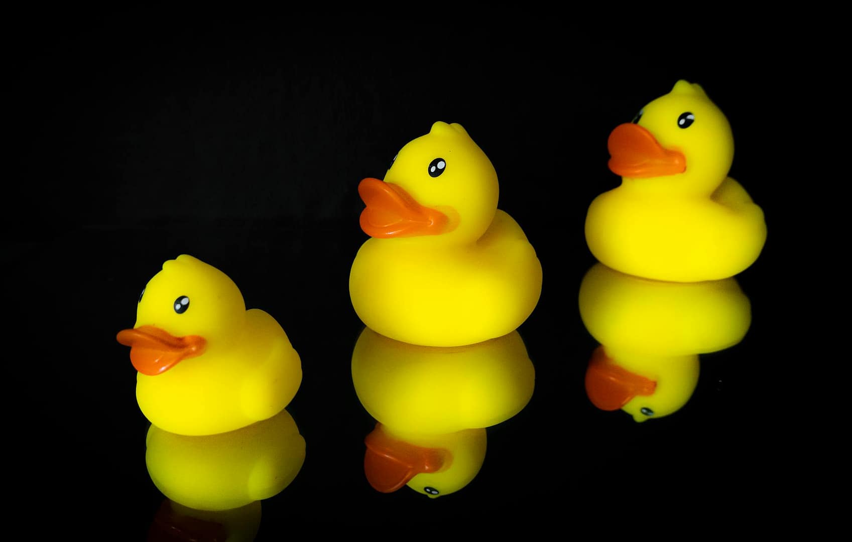 yellow rubber ducks