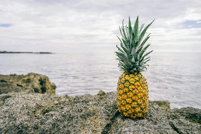 ripe pineapple on gray rock beside body of water