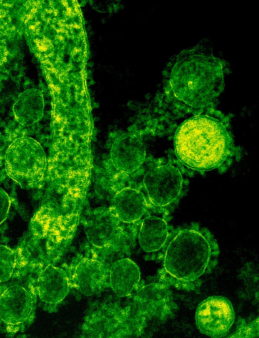 CDC Reports 11th Outbreak on Cruise Ship in 2025