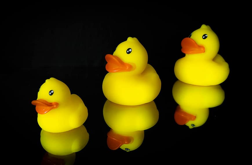 What are Cruise Ducks?