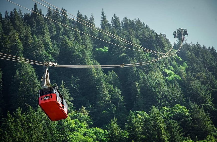 One of Alaska’s Most Famous Shore Excursions Suddenly Went Quiet
