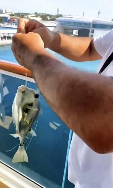 a cruiser displays a boxfish that he caught from a Carnival cruise ship docked in Nassau